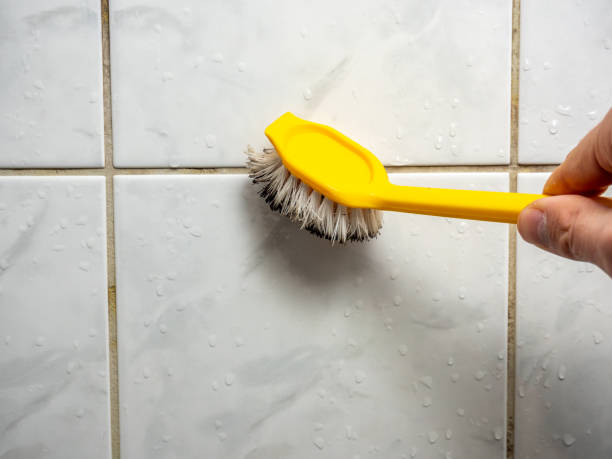 Best Professional Mold Removal  in Brices Creek, NC